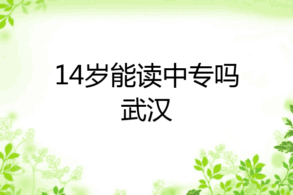 14岁能读中专吗武汉