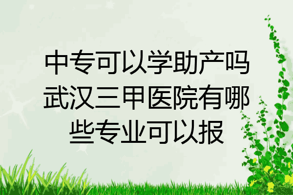 中专可以学助产吗武汉三甲医院有哪些专业可以报