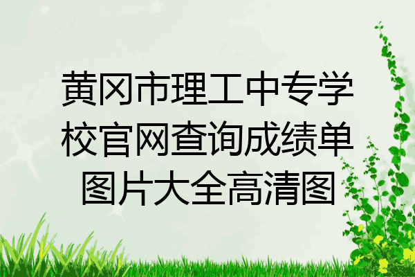 黄冈市理工中专学校官网查询成绩单图片大全高清图