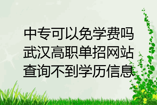 中专可以免学费吗武汉高职单招网站查询不到学历信息