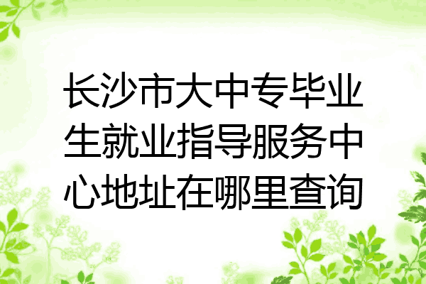 长沙市大中专毕业生就业指导服务中心地址在哪里查询