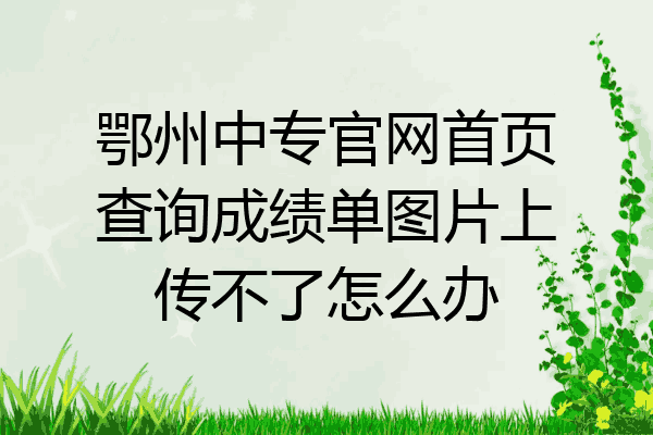 鄂州中专官网首页查询成绩单图片上传不了怎么办