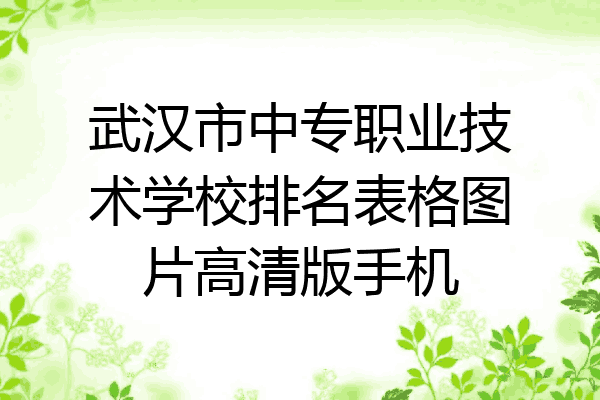 武汉市中专职业技术学校排名表格图片高清版手机