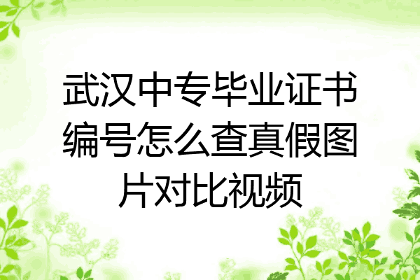 武汉中专毕业证书编号怎么查真假图片对比视频
