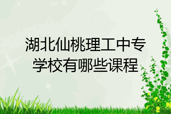 湖北仙桃理工中专学校有哪些课程