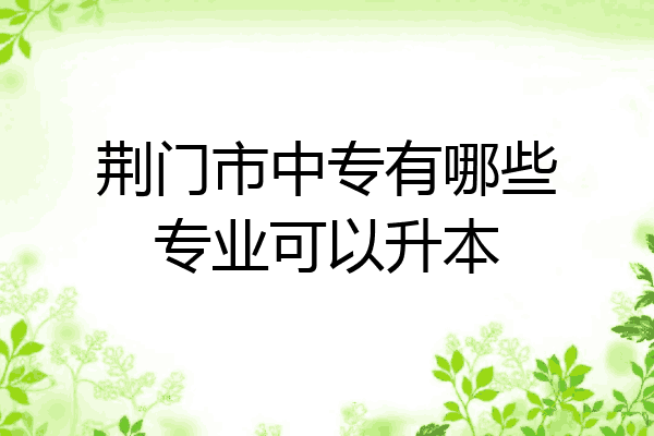 荆门市中专有哪些专业可以升本