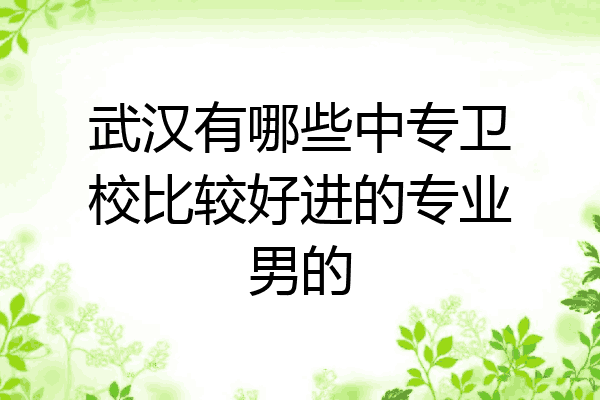 武汉有哪些中专卫校比较好进的专业男的