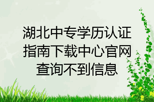 湖北中专学历认证指南下载中心官网查询不到信息