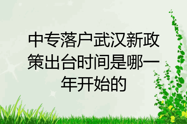 中专落户武汉新政策出台时间是哪一年开始的