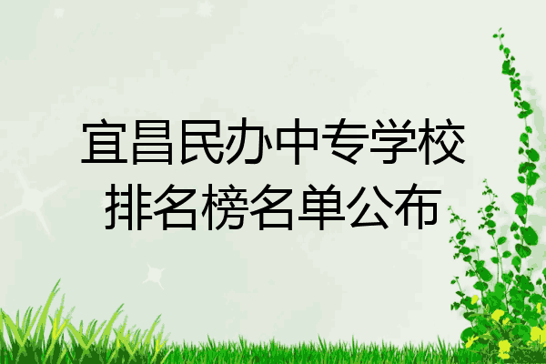 宜昌民办中专学校排名榜名单公布