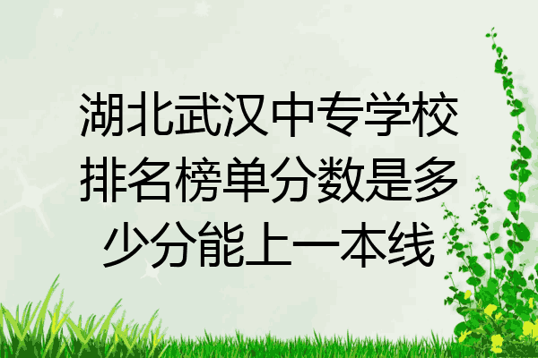 湖北武汉中专学校排名榜单分数是多少分能上一本线
