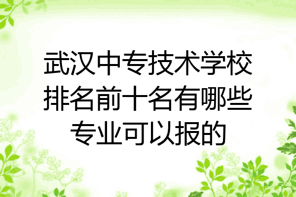 武汉中专技术学校排名前十名有哪些专业可以报的