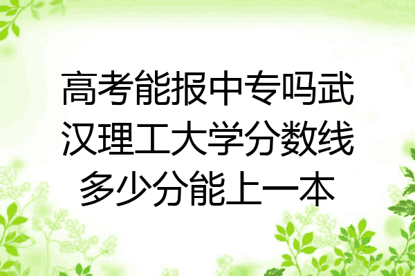 高考能报中专吗武汉理工大学分数线多少分能上一本