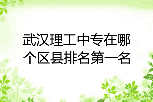 武汉理工中专在哪个区县排名第一名