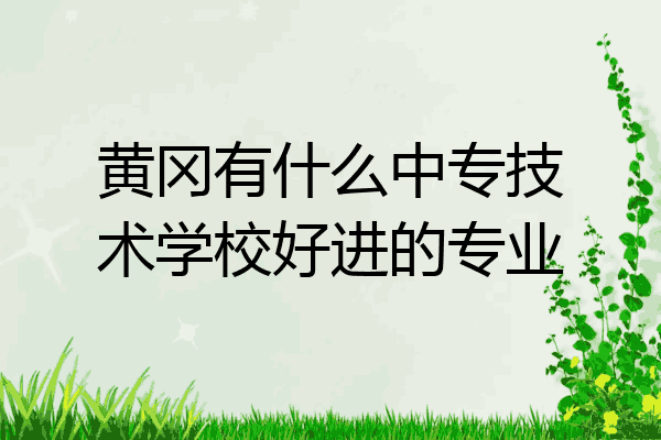 黄冈有什么中专技术学校好进的专业