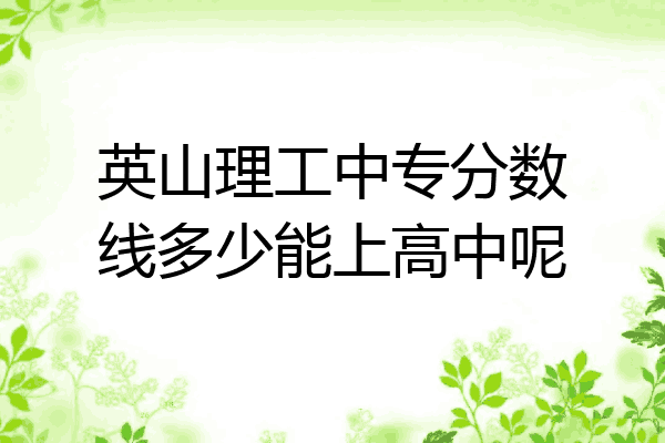 英山理工中专分数线多少能上高中呢