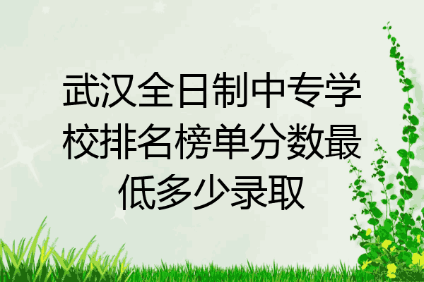 武汉全日制中专学校排名榜单分数最低多少录取