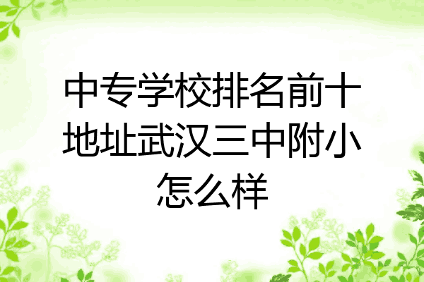 中专学校排名前十地址武汉三中附小怎么样