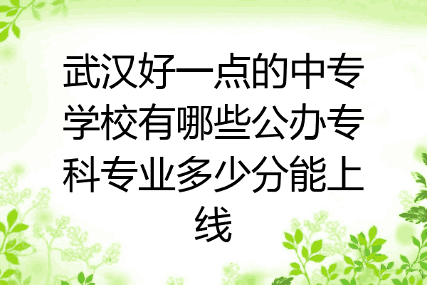 武汉好一点的中专学校有哪些公办专科专业多少分能上线