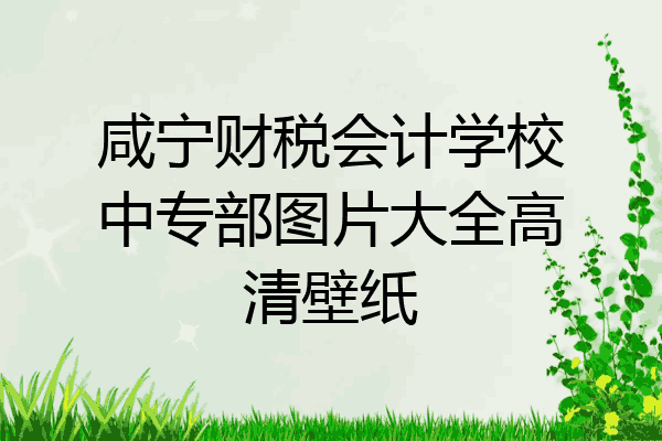 咸宁财税会计学校中专部图片大全高清壁纸