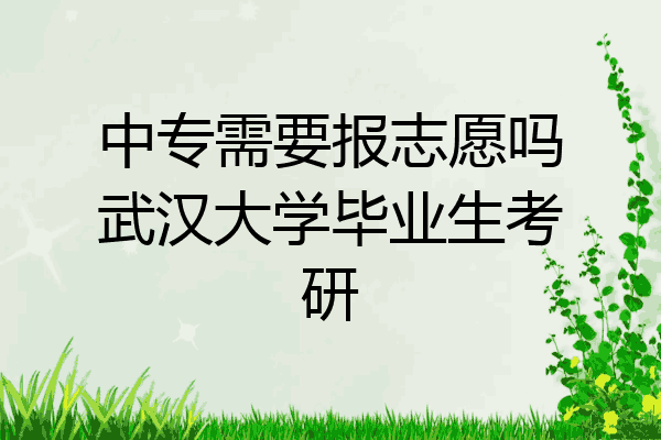中专需要报志愿吗武汉大学毕业生考研