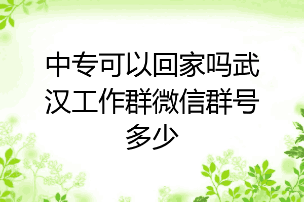中专可以回家吗武汉工作群微信群号多少
