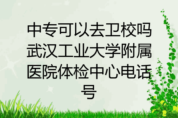 中专可以去卫校吗武汉工业大学附属医院体检中心电话号