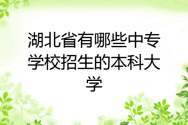 湖北省有哪些中专学校招生的本科大学