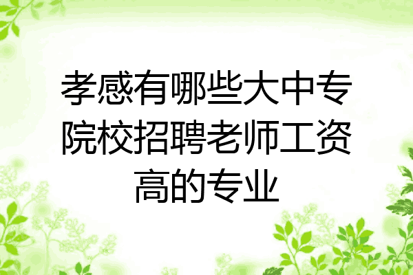 孝感有哪些大中专院校招聘老师工资高的专业