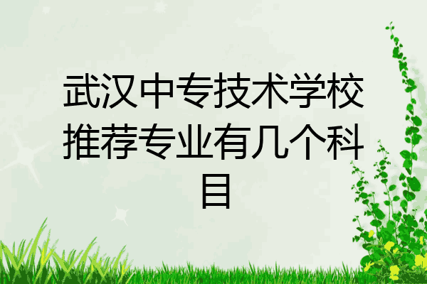 武汉中专技术学校推荐专业有几个科目
