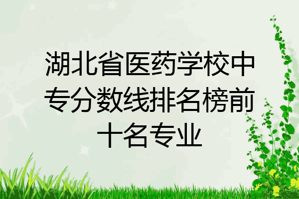 湖北省医药学校中专分数线排名榜前十名专业