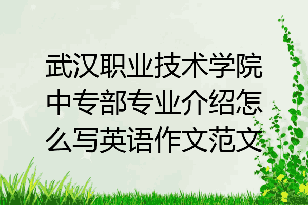 武汉职业技术学院中专部专业介绍怎么写英语作文范文