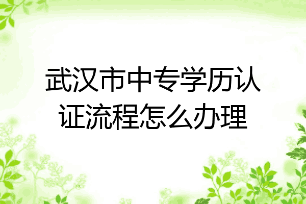 武汉市中专学历认证流程怎么办理