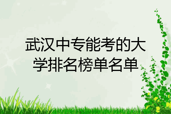 武汉中专能考的大学排名榜单名单