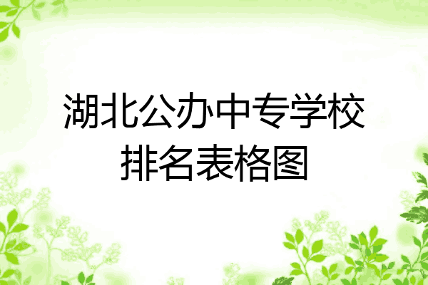 湖北公办中专学校排名表格图