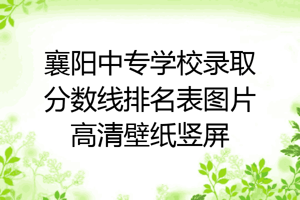 襄阳中专学校录取分数线排名表图片高清壁纸竖屏