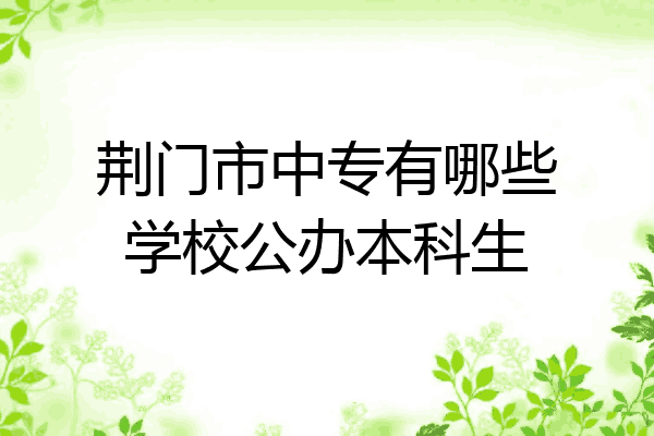 荆门市中专有哪些学校公办本科生