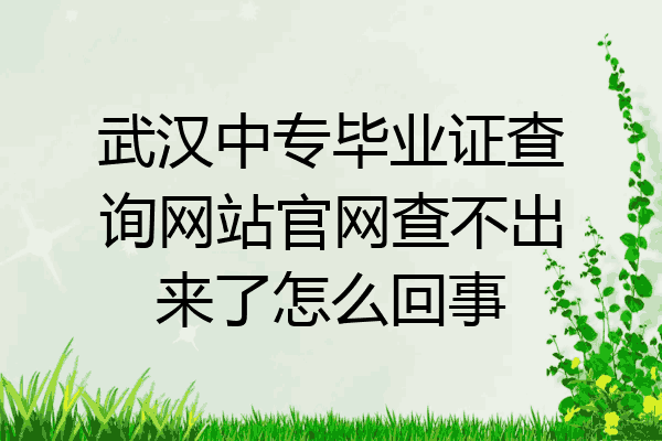 武汉中专毕业证查询网站官网查不出来了怎么回事