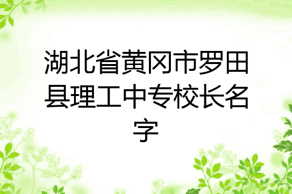 湖北省黄冈市罗田县理工中专校长名字