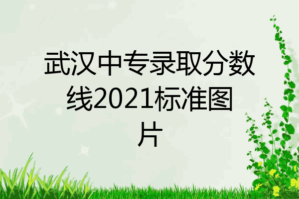 武汉中专录取分数线2021标准图片
