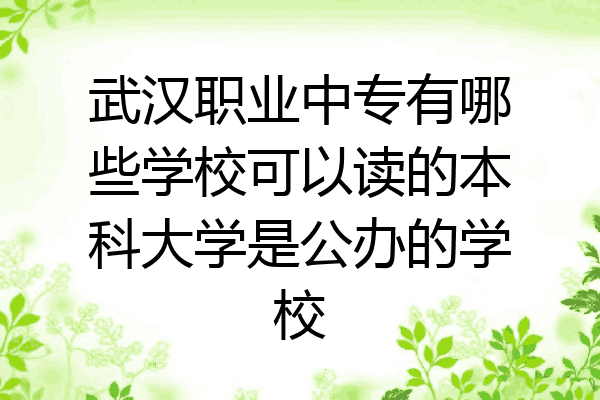 武汉职业中专有哪些学校可以读的本科大学是公办的学校