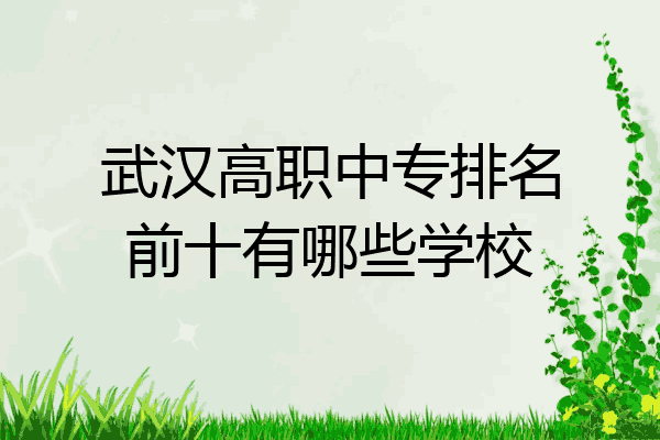 武汉高职中专排名前十有哪些学校