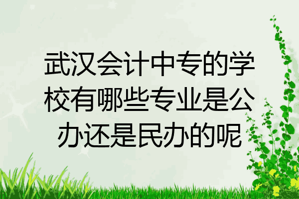 武汉会计中专的学校有哪些专业是公办还是民办的呢