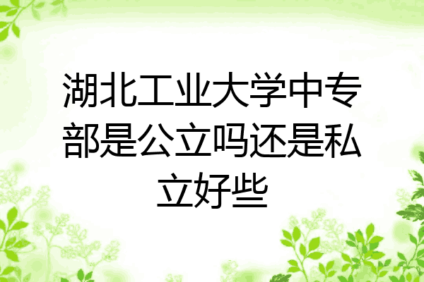 湖北工业大学中专部是公立吗还是私立好些