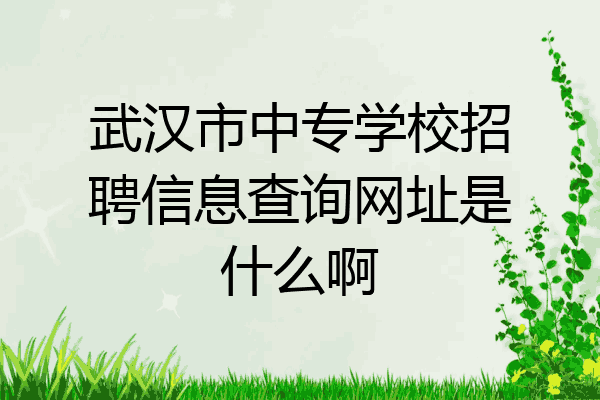 武汉市中专学校招聘信息查询网址是什么啊