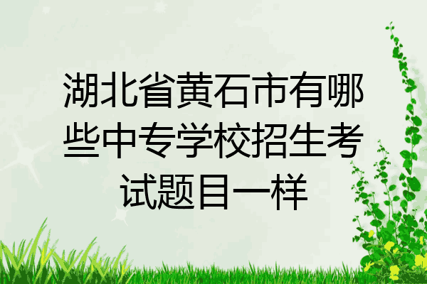湖北省黄石市有哪些中专学校招生考试题目一样