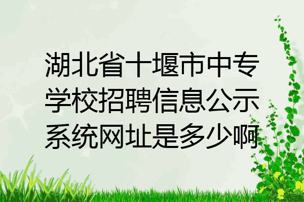 湖北省十堰市中专学校招聘信息公示系统网址是多少啊
