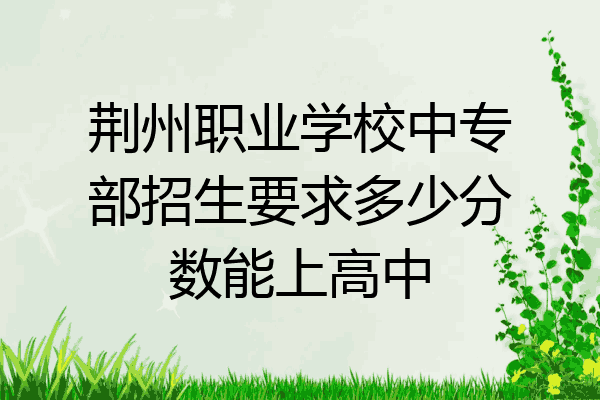 荆州职业学校中专部招生要求多少分数能上高中