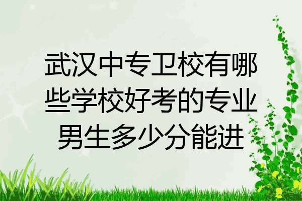 武汉中专卫校有哪些学校好考的专业男生多少分能进