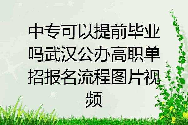 中专可以提前毕业吗武汉公办高职单招报名流程图片视频